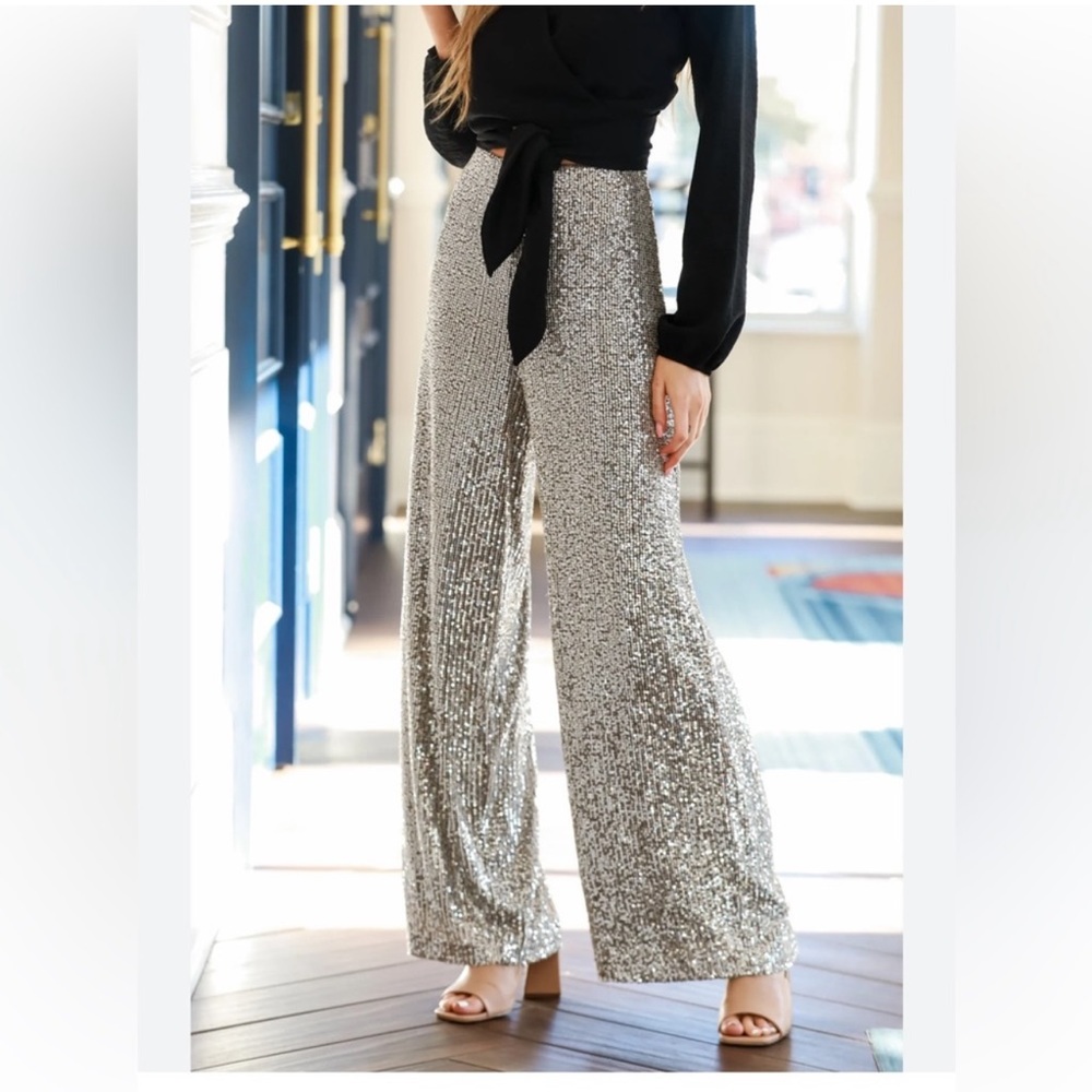 Love on a Hanger Silver Sequined Pants🆕